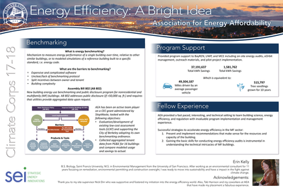 Energy Efficiency: A bright Idea